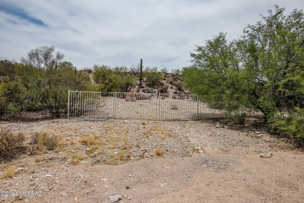 Picture 15