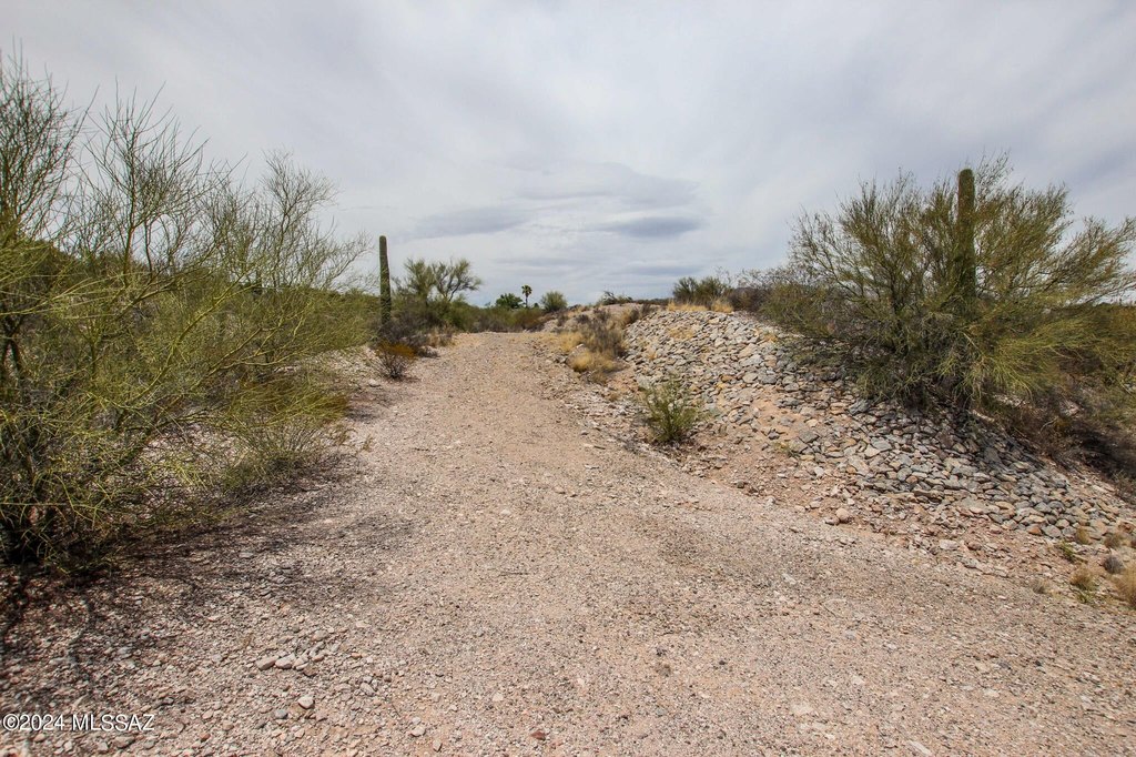 Picture 27