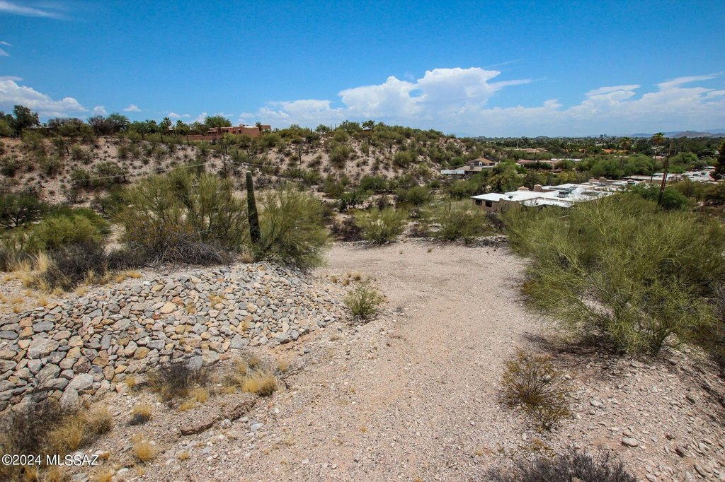 Picture 24