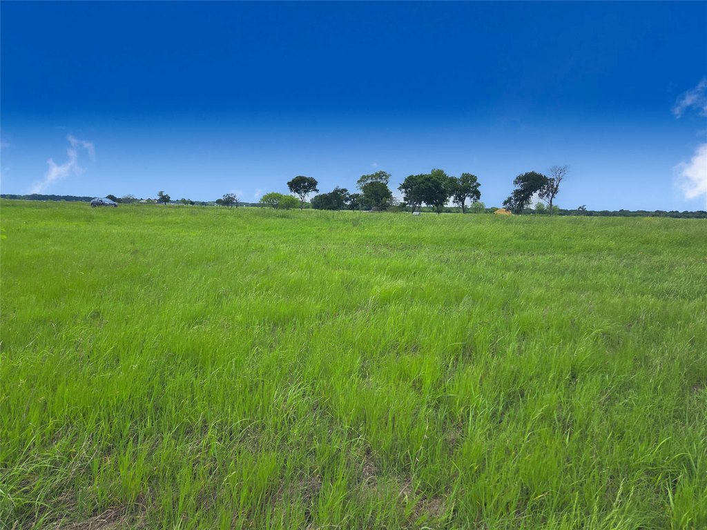 Picture 14