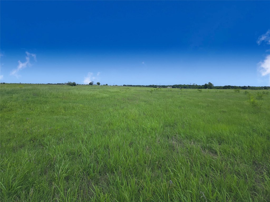 Picture 30
