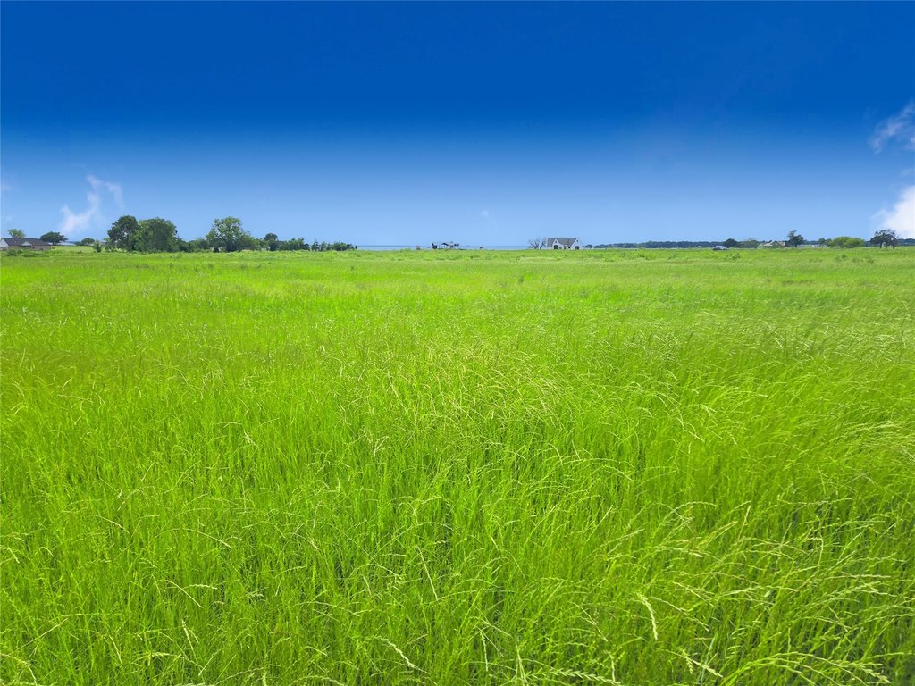 Picture 22