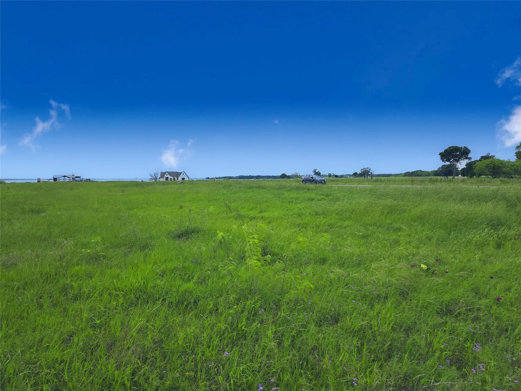 Picture 25
