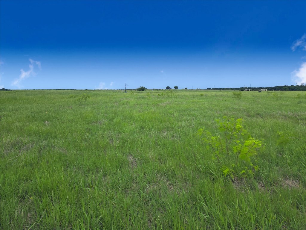 Picture 23