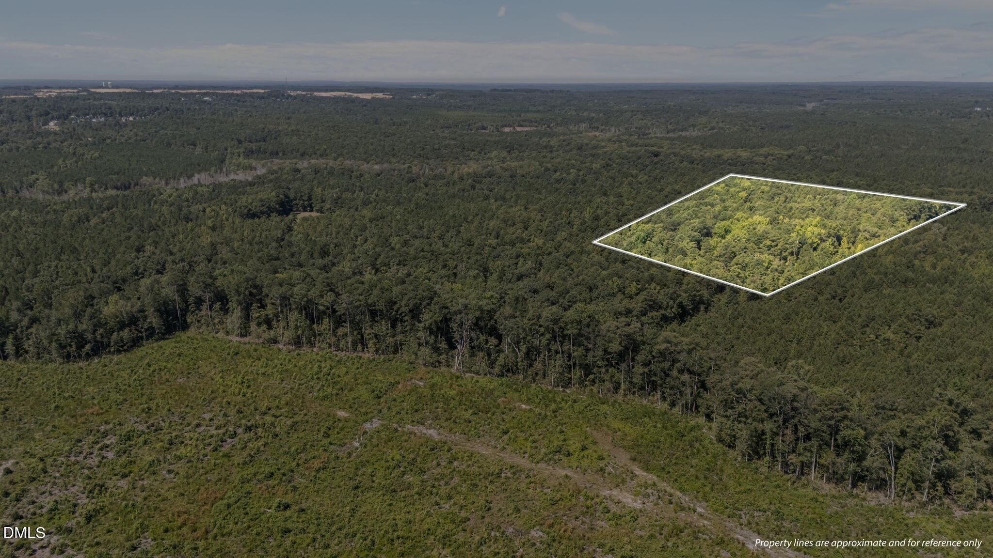 Cameron, NC Wooded Land Parcel