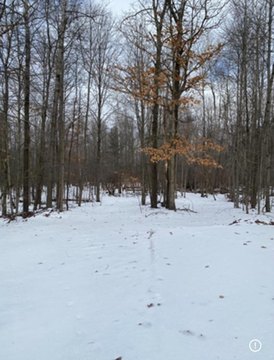 Residential Land in Benton Harbor