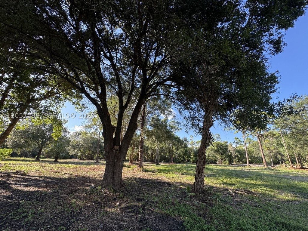 Picture 27