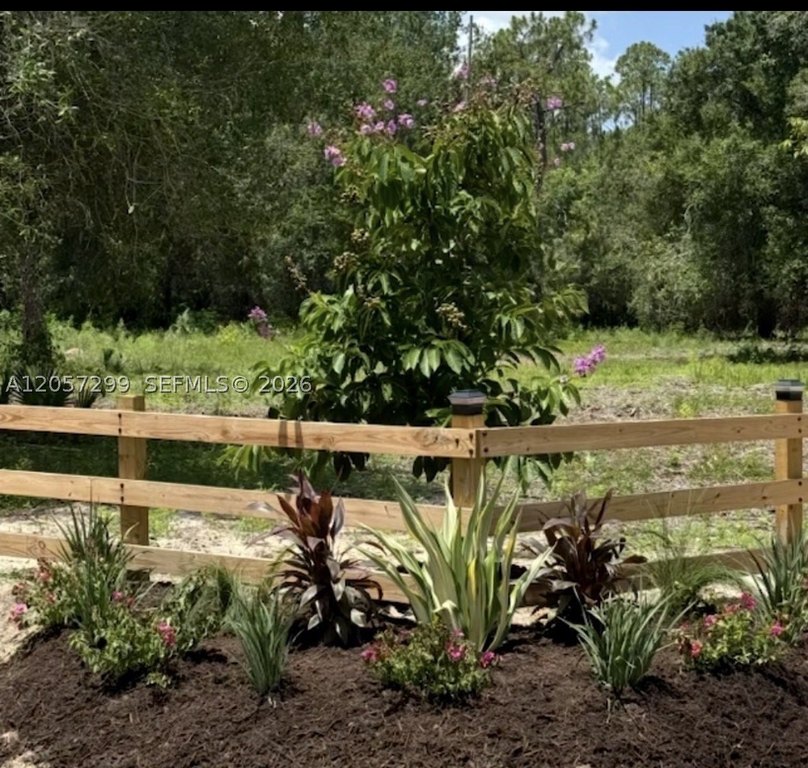 Picture 7