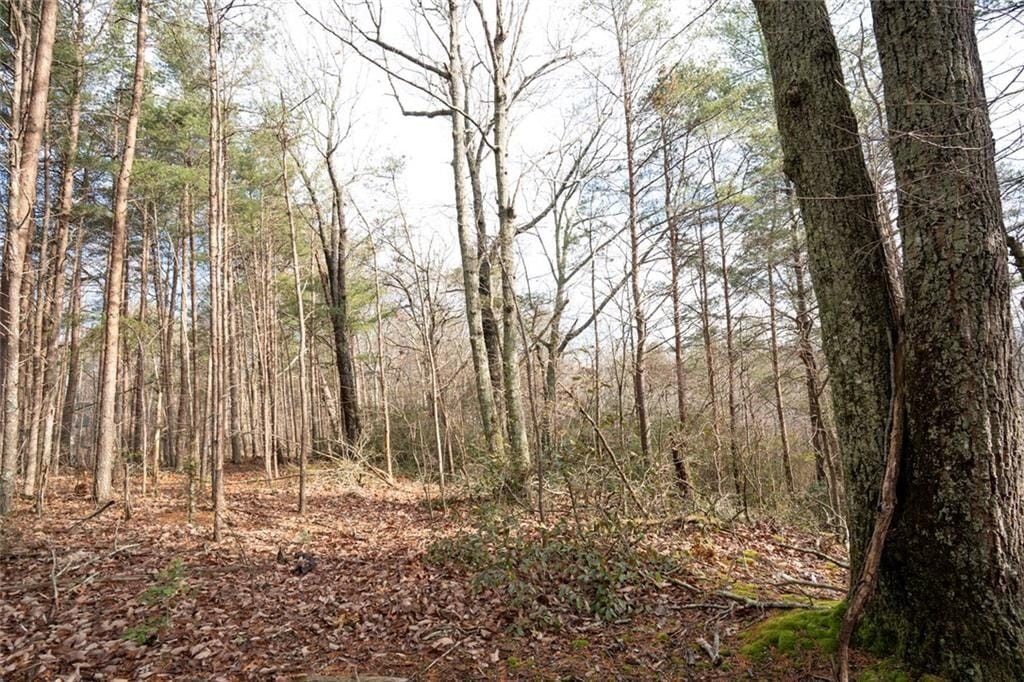 Wooded Lot in Salacoa Highlands