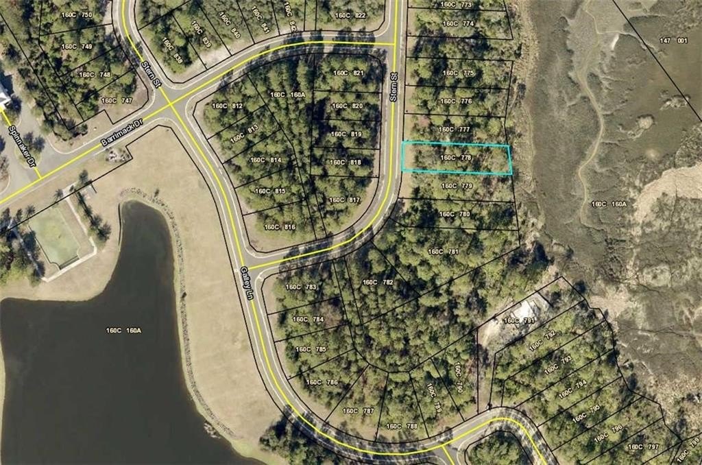 Marsh Front Lot in Georgia
