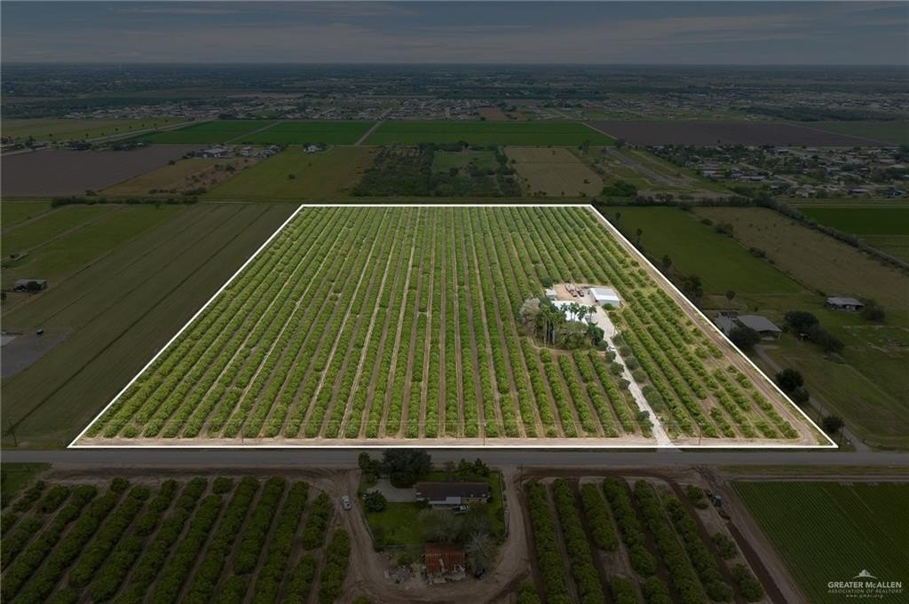 Income Producing Citrus Orchard