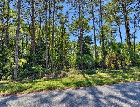 Land, Port St. Joe, FL