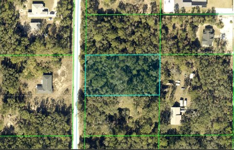 Land, WEBSTER, FL