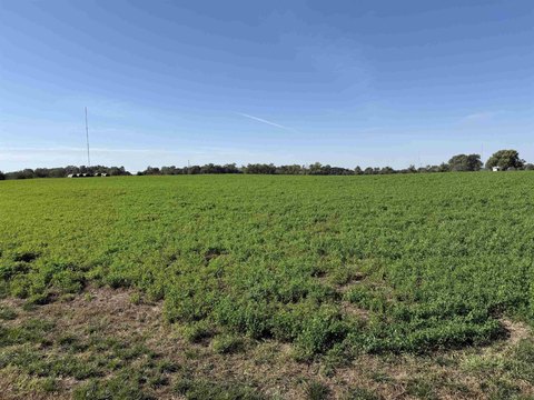 LAND, Norfolk, NE