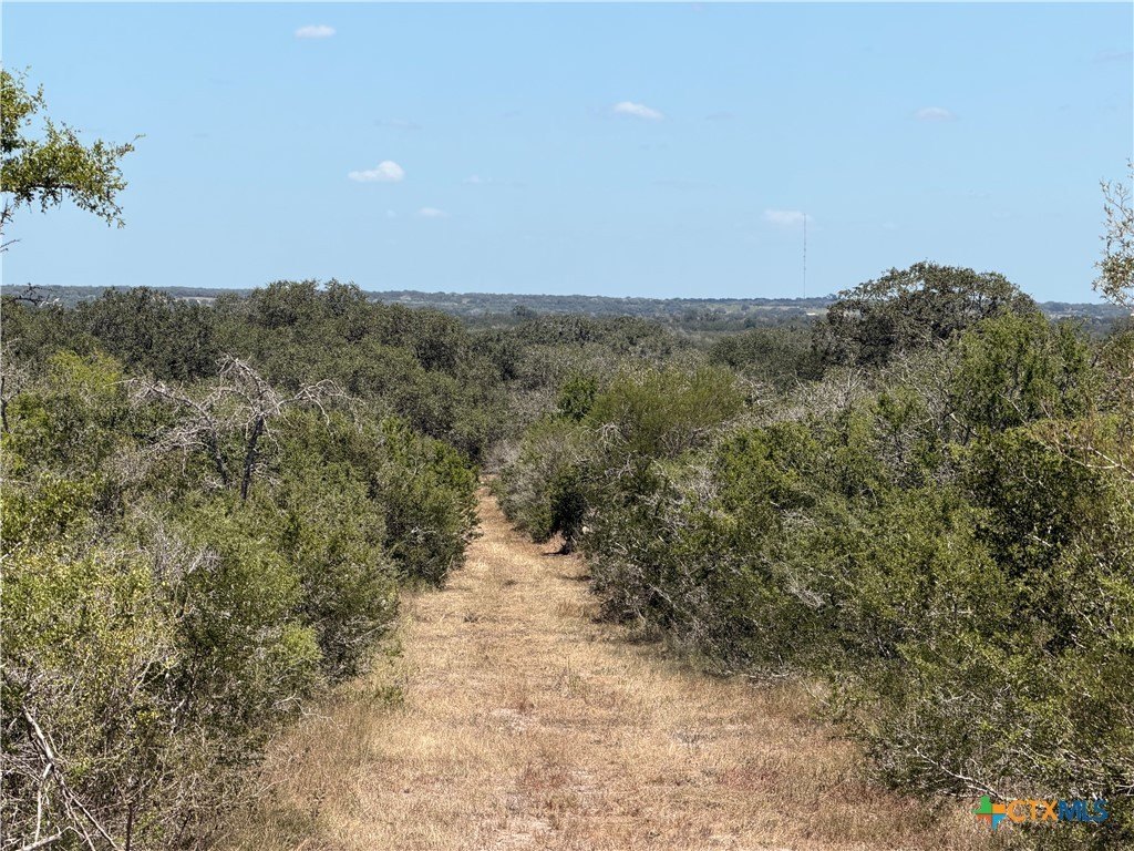 Picture 21