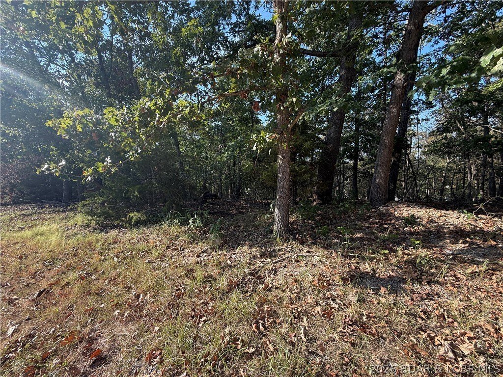 Picture 22