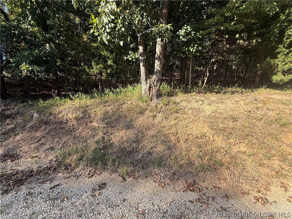 Picture 6
