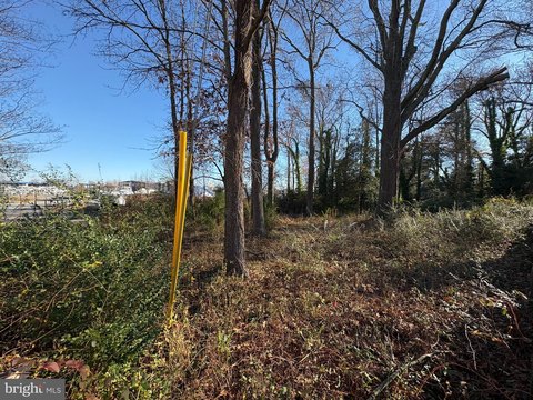 Land, EDGEWATER, MD