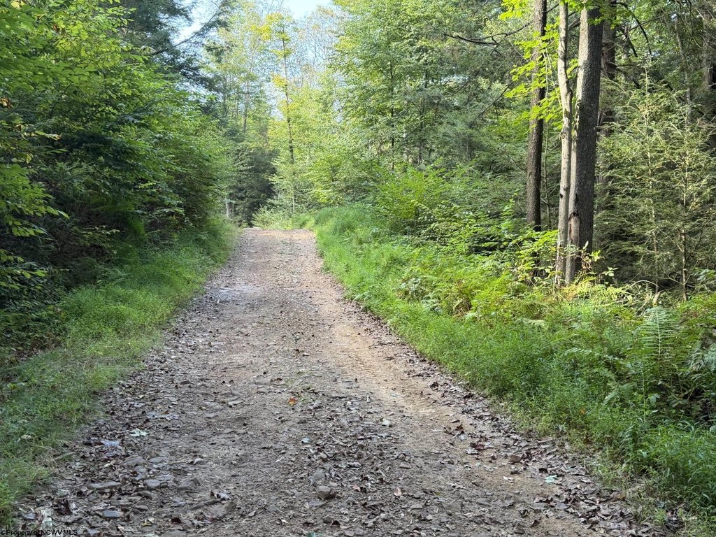 Picture 6
