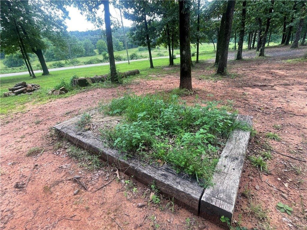 Picture 6
