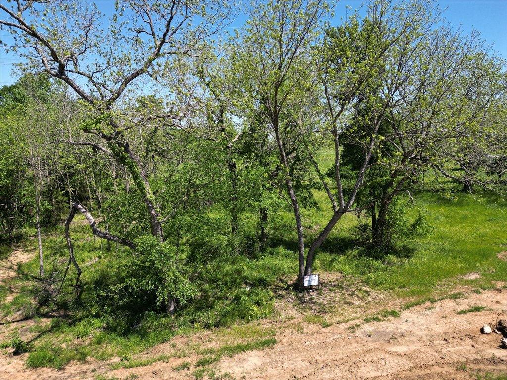 Picture 22