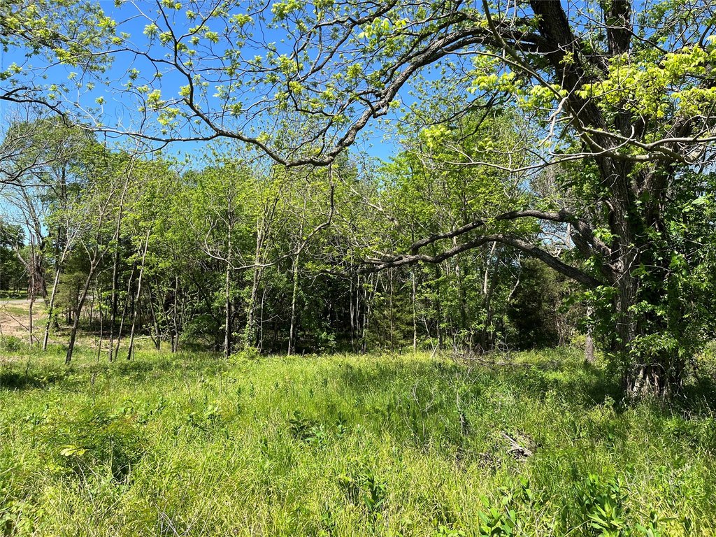 Picture 11