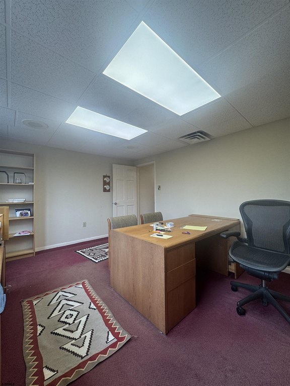 Picture 6