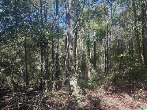 LAND/LOTS, HEFLIN, AL