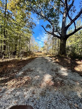 Land, Holly Springs, MS
