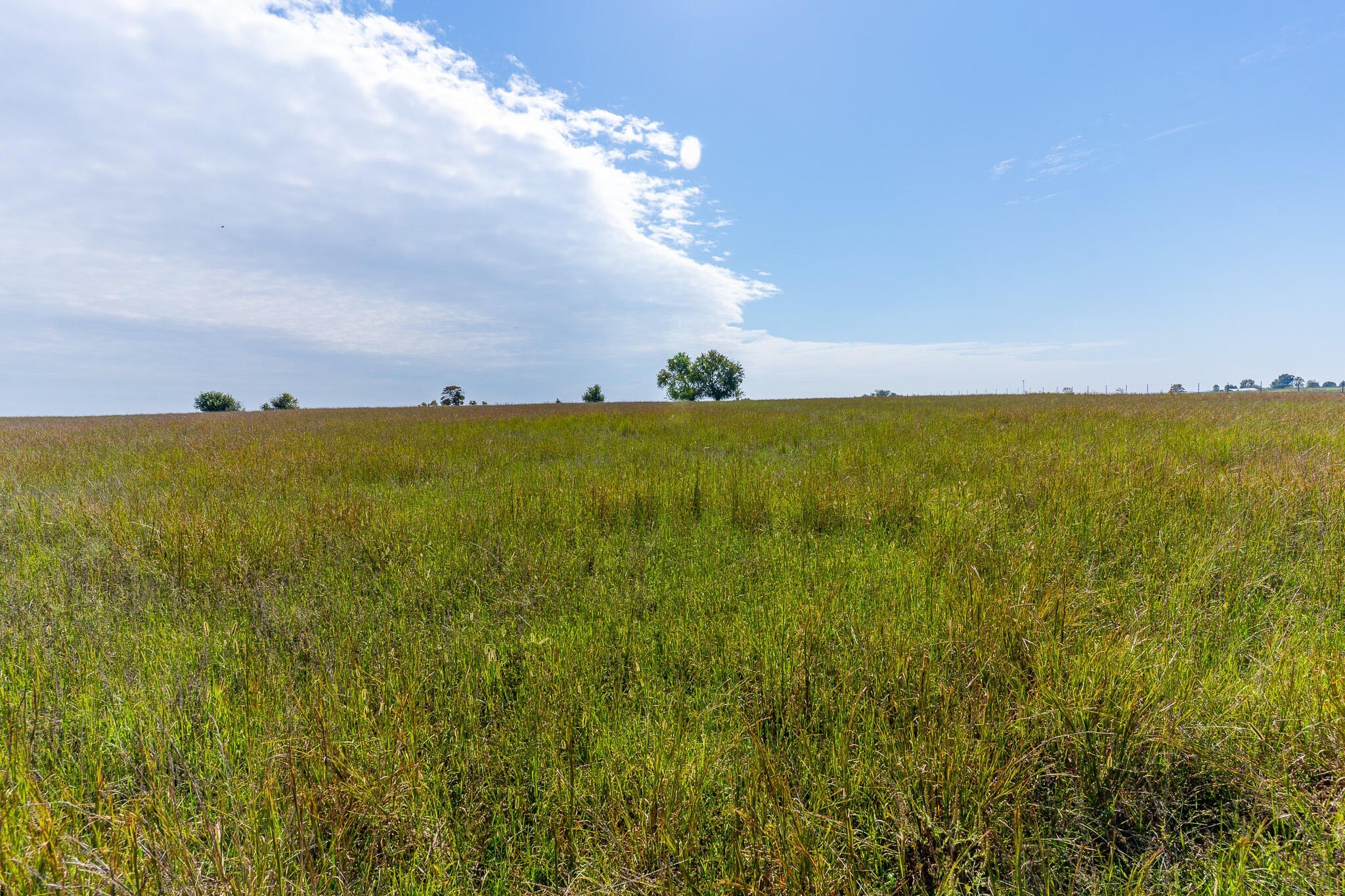 26 Acres Near Springfield