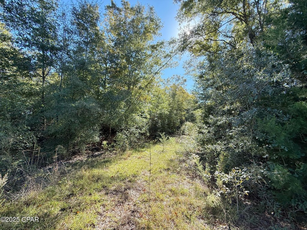 Picture 4