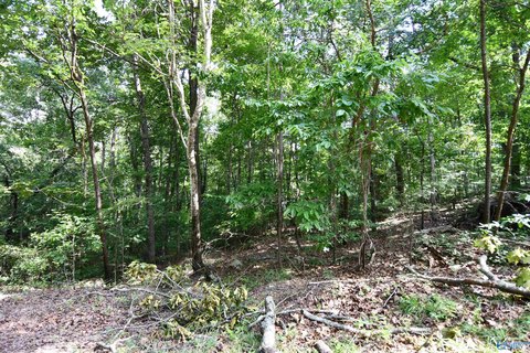 LAND - Southside, AL