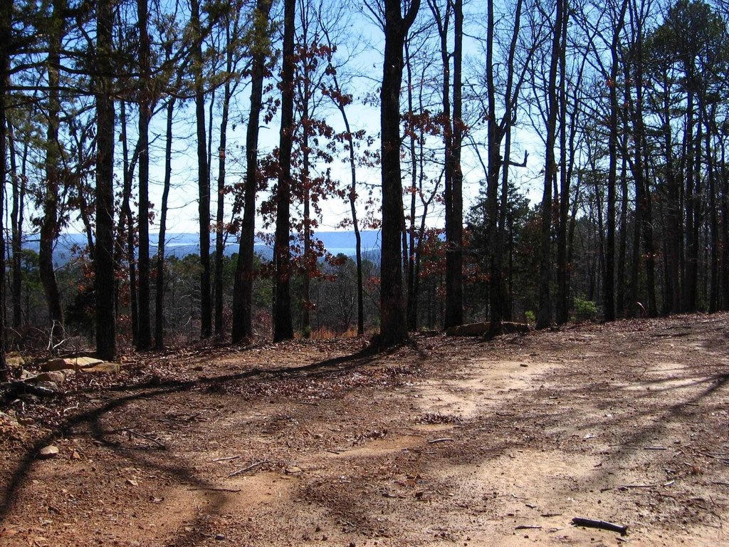 Picture 13