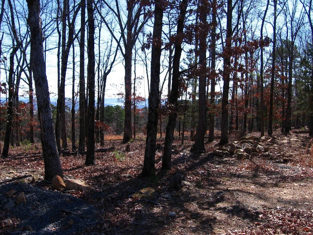 Picture 8