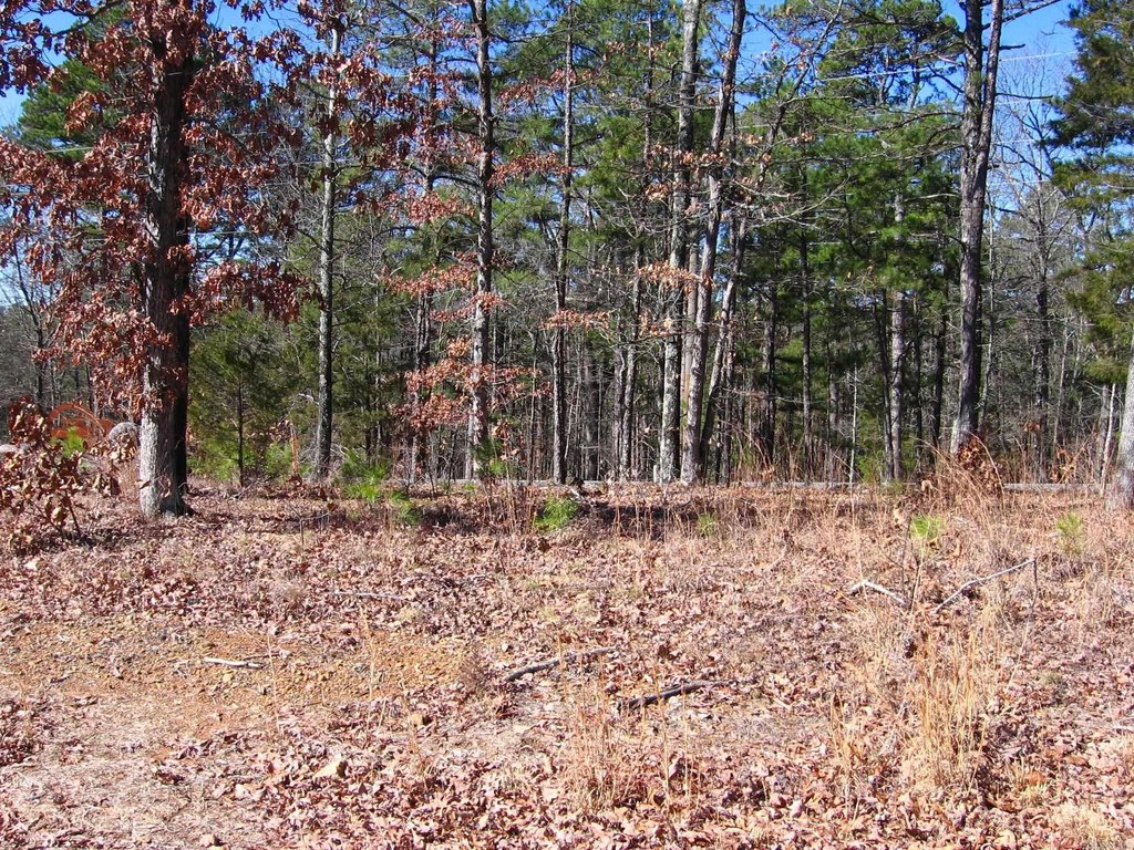 Picture 9