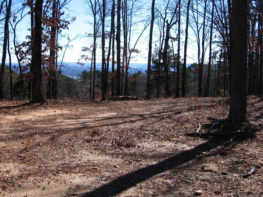 Picture 14
