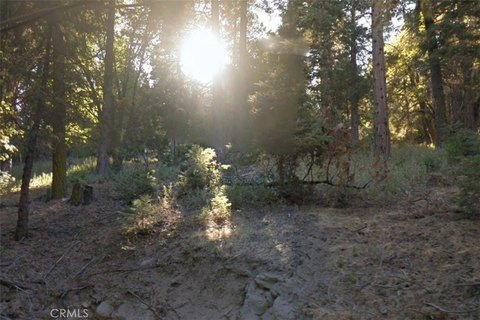 Residential Land Lot