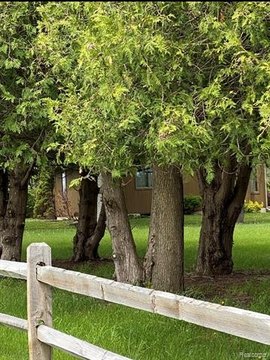 LAND - Norvell Twp, MI