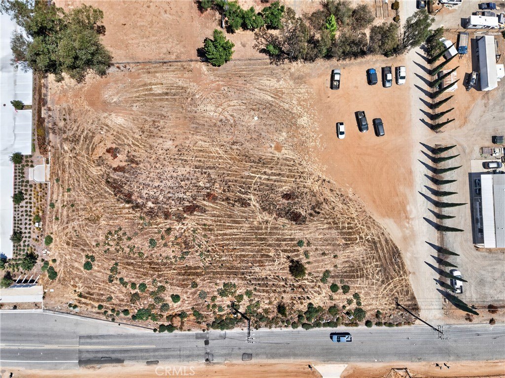 Picture 13