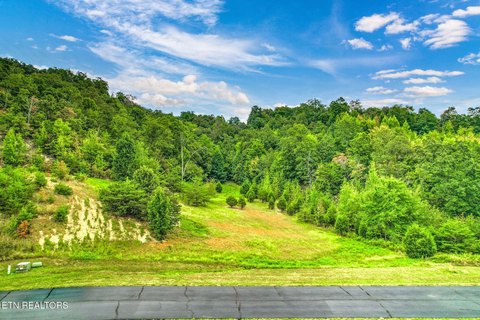 Lots & Acreage, Rockwood, TN