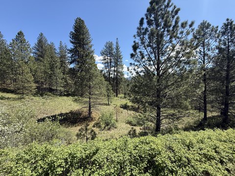 Timber-Adjacent Land with Multiple Sites