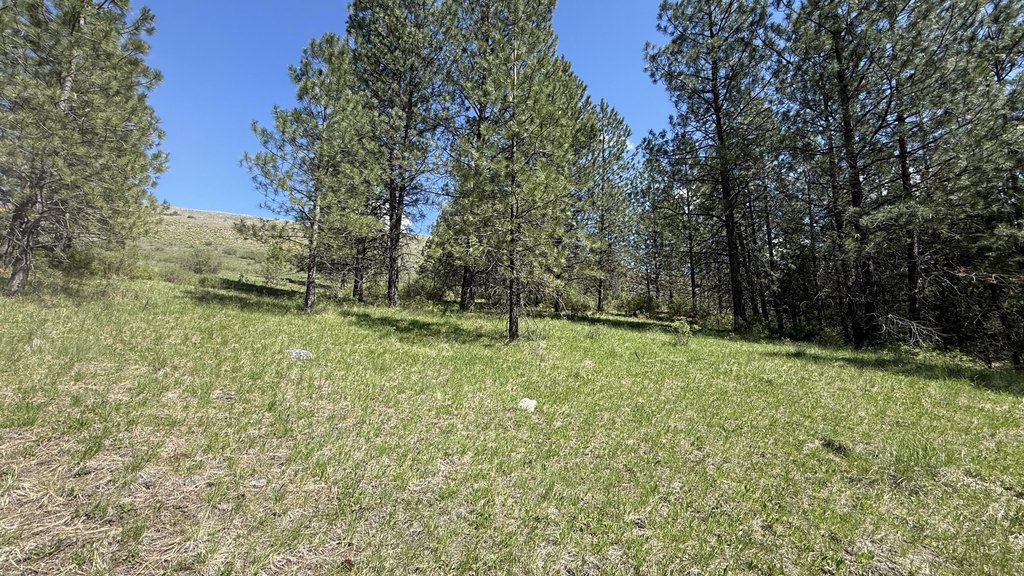 Picture 14