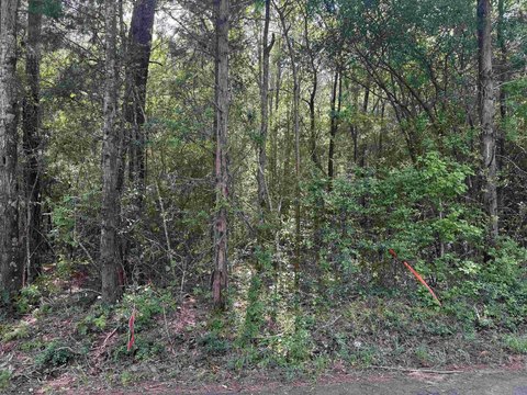 44 Acres of Land