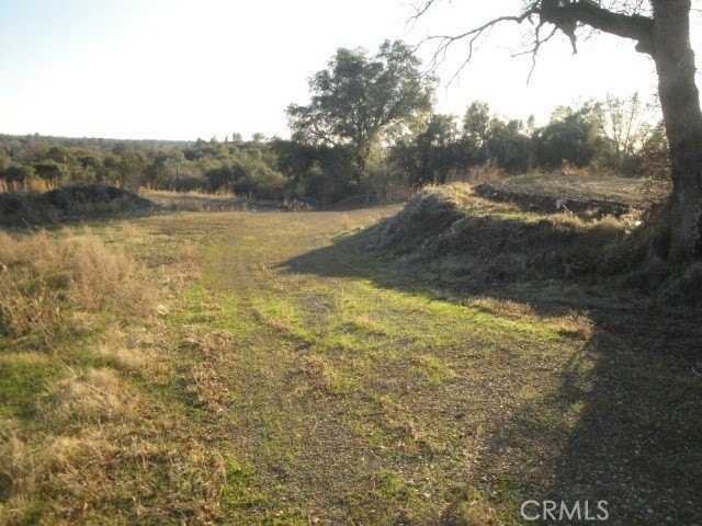 Picture 7