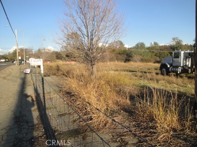 Picture 3
