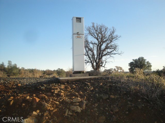 Picture 12