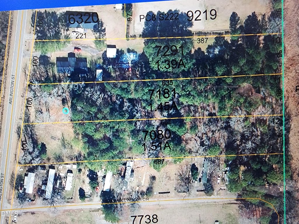 Picture 3