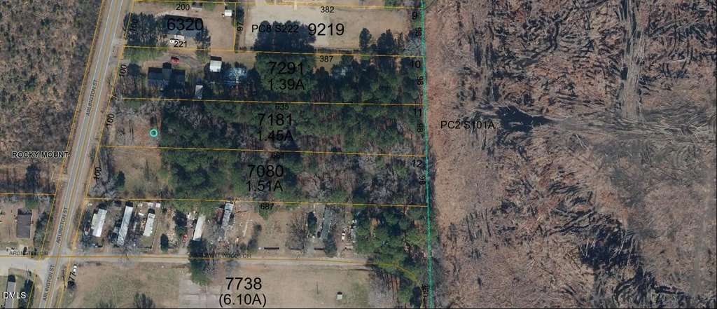 Picture 13