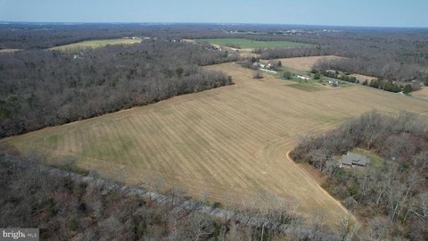 Tilled Farmland with Road Frontage