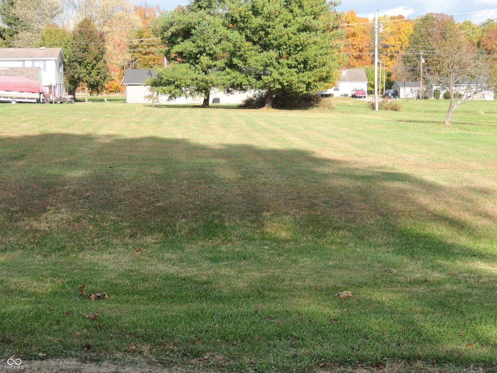 Picture 2